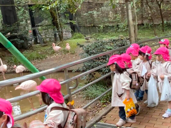 動物園で鳥を見る園児たちの写真